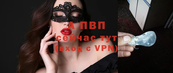 PSILOCYBIN Горняк