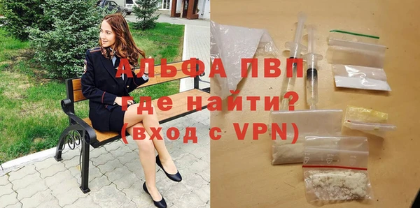 PSILOCYBIN Горняк